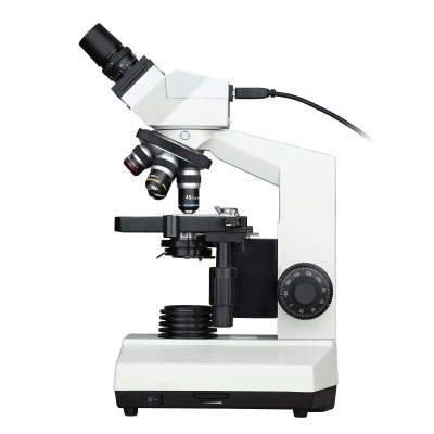 Binocular microscope