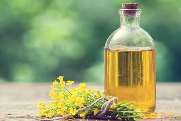 Canola Oil